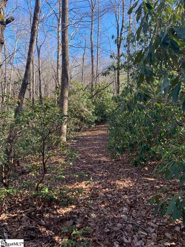 Property image 4 at 11 Larkspur Lane, Cleveland, SC 29635