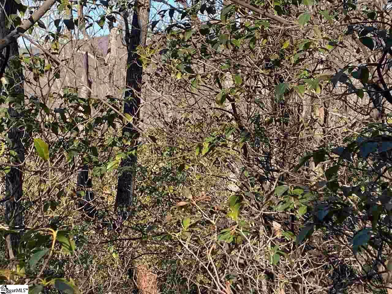 Property image 5 at 11 Larkspur Lane, Cleveland, SC 29635