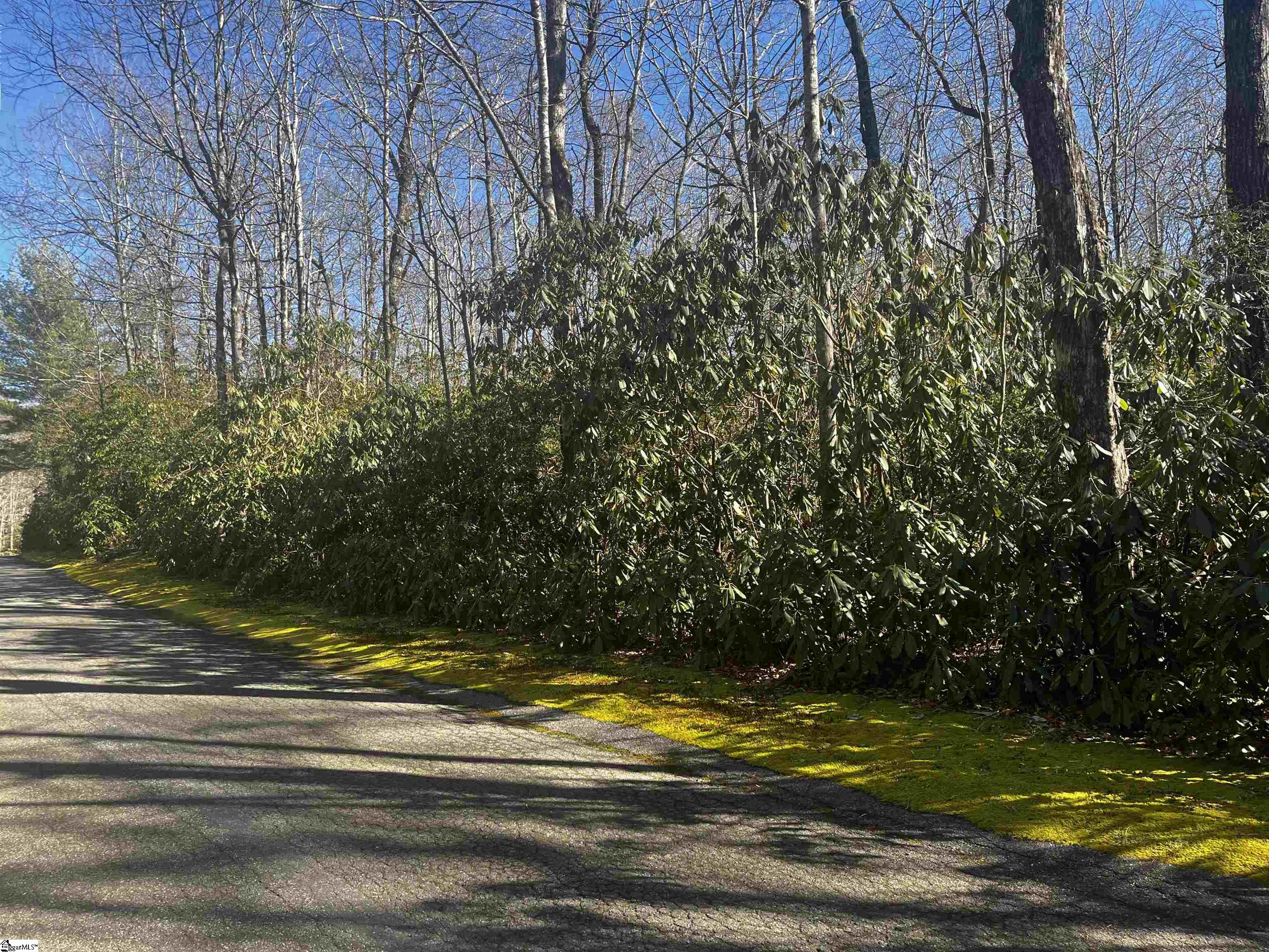 Property image 3 of 116 Hemlock Trail in Cliff Ridge at Caesars Head, Cleveland, SC 29635