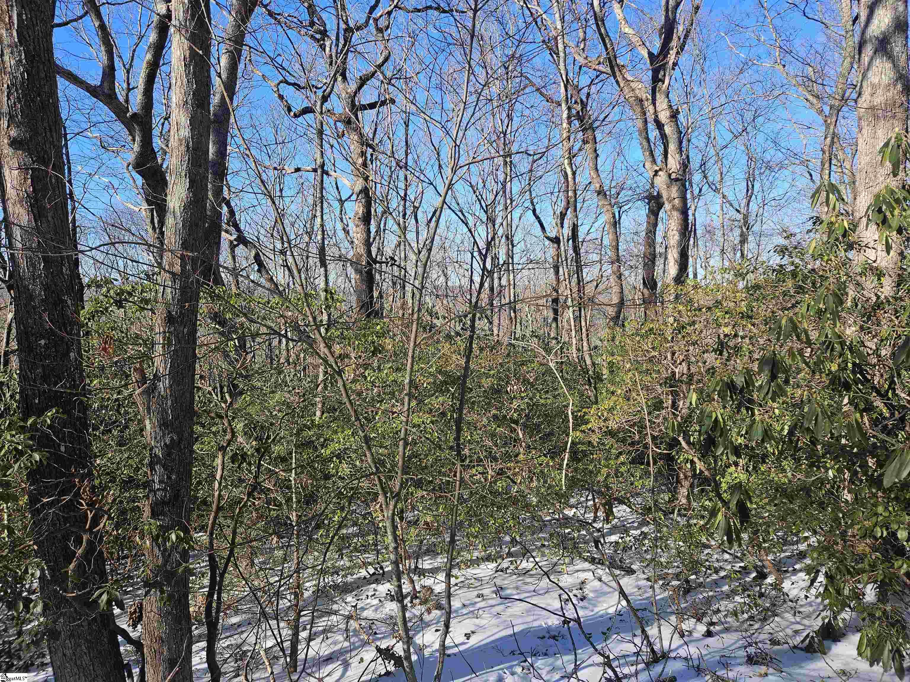 Property image 3 of 609 Cliff Ridge Drive in Cliff Ridge at Caesars Head, Cleveland, SC 29635