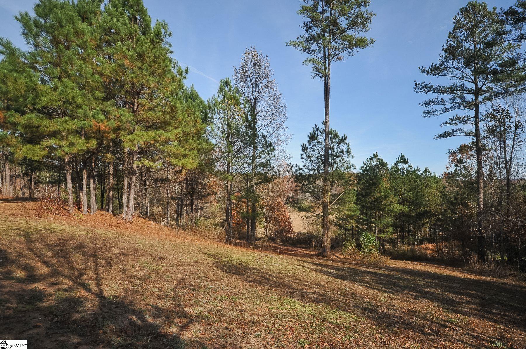 Property image 3 of 22 Tee Box Lane in The Summit at Cherokee Valley, Travelers Rest, SC 29690