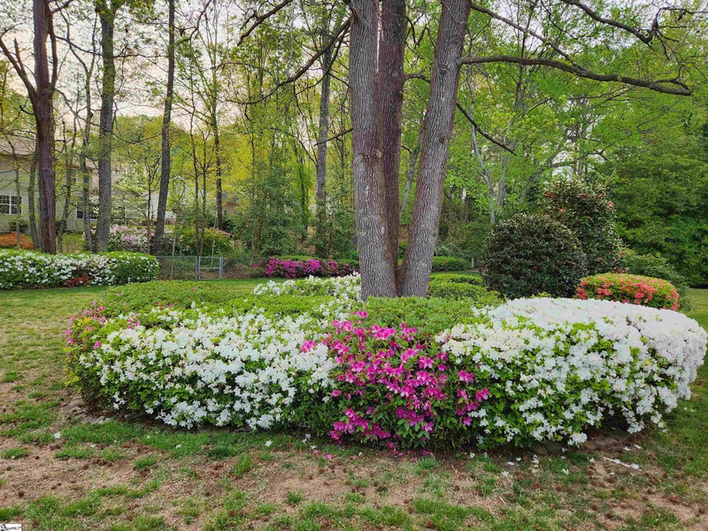 Property image 3 at 407 Harness Trail, Simpsonville, SC 29681
