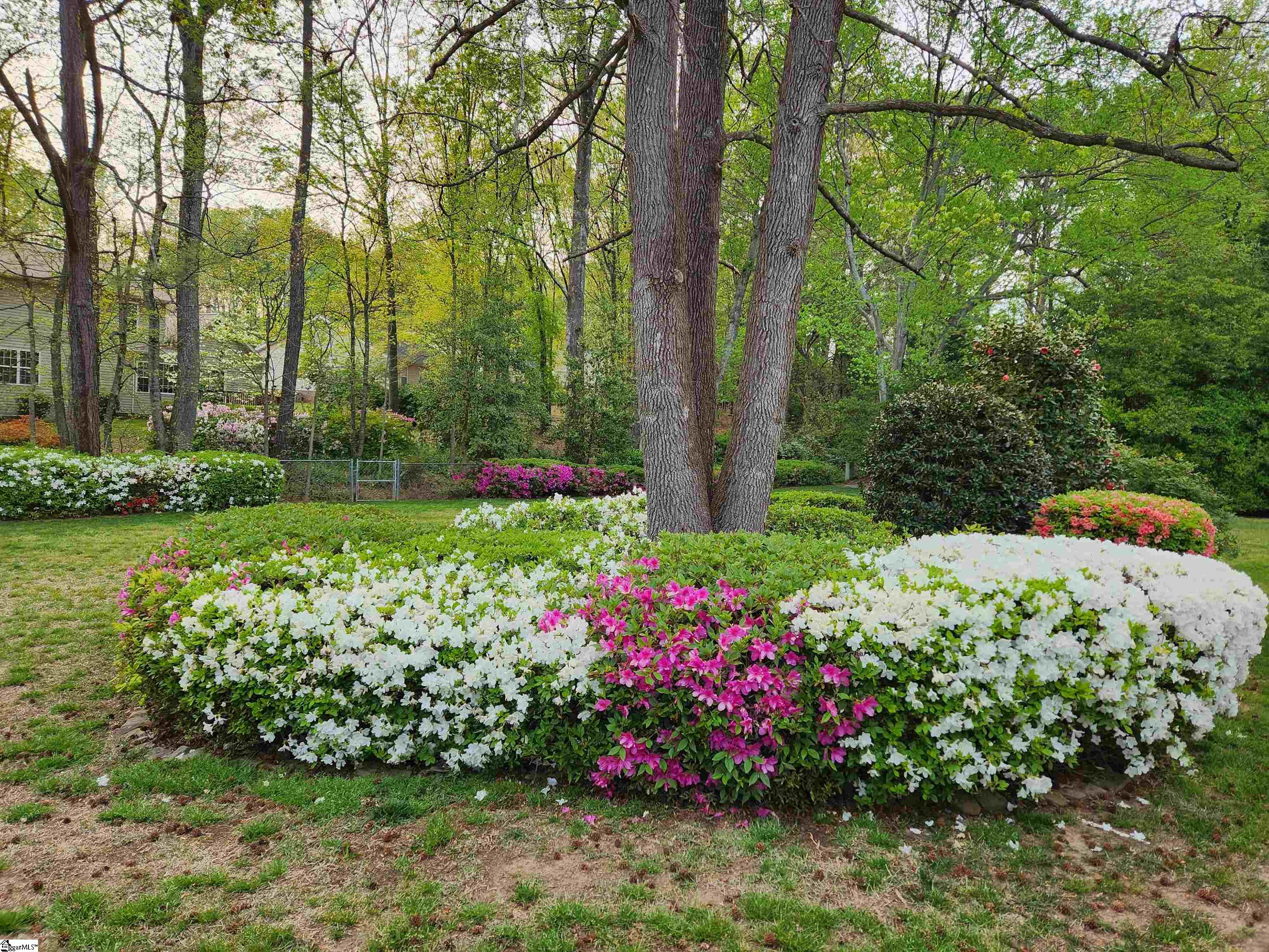 Property image 3 of 407 Harness Trail in Heritage Lakes, Simpsonville, SC 29681