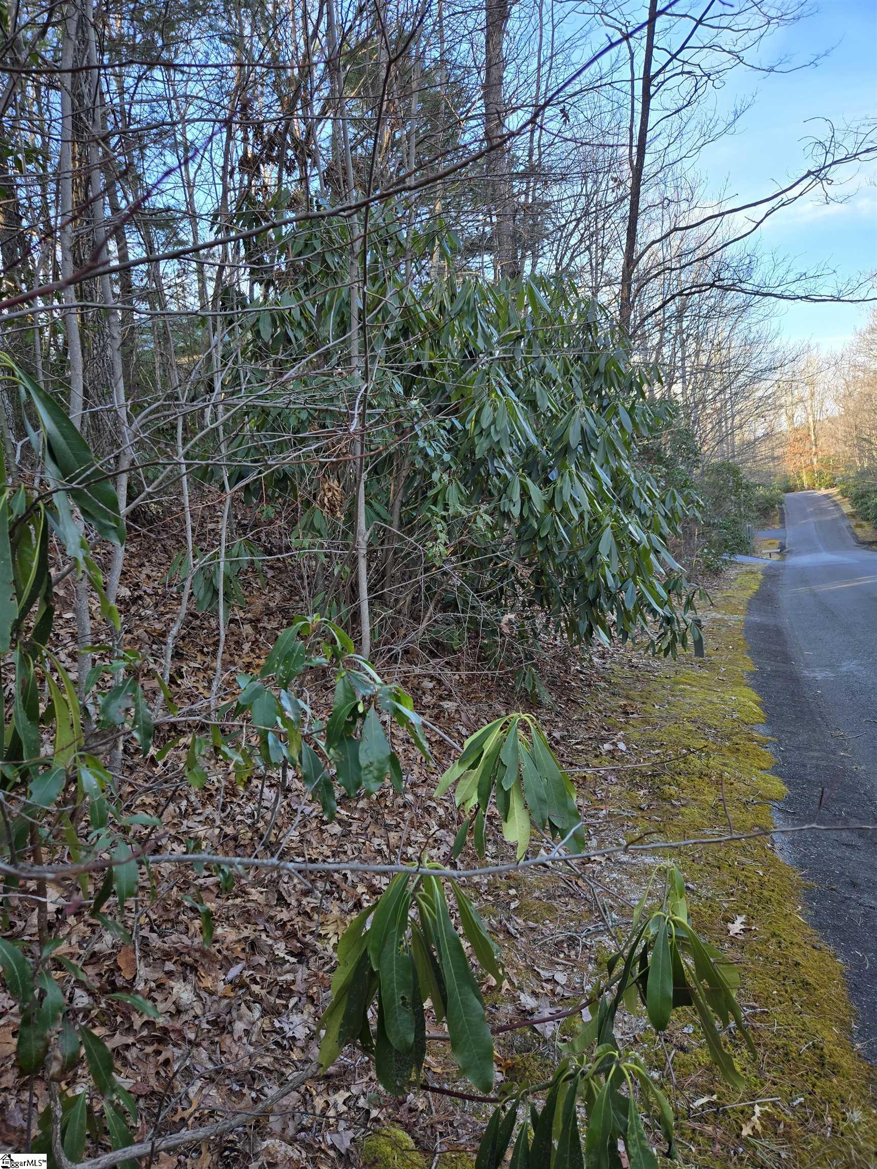 Property image 2 of 56 Cliff Ridge Drive in Cliff Ridge at Caesars Head, Cleveland, SC 29635