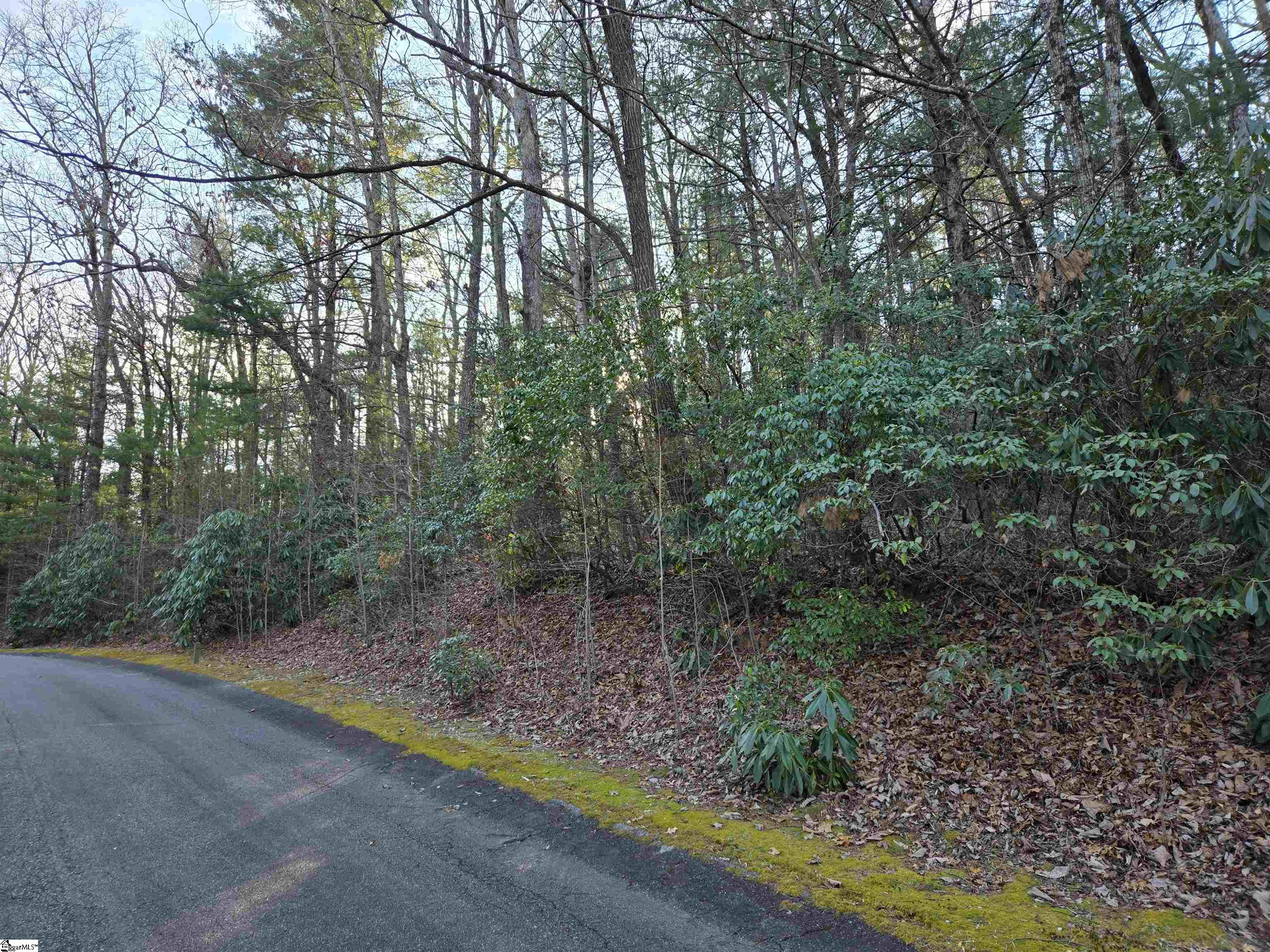 Property image 3 of 56 Cliff Ridge Drive in Cliff Ridge at Caesars Head, Cleveland, SC 29635
