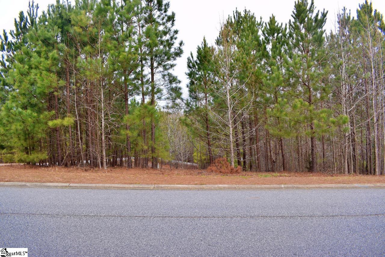 Property image 2 of 101 Lord Byron Lane in The Summit at Cherokee Valley, Travelers Rest, SC 29690