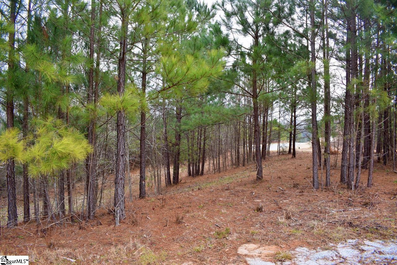 Property image 3 of 101 Lord Byron Lane in The Summit at Cherokee Valley, Travelers Rest, SC 29690