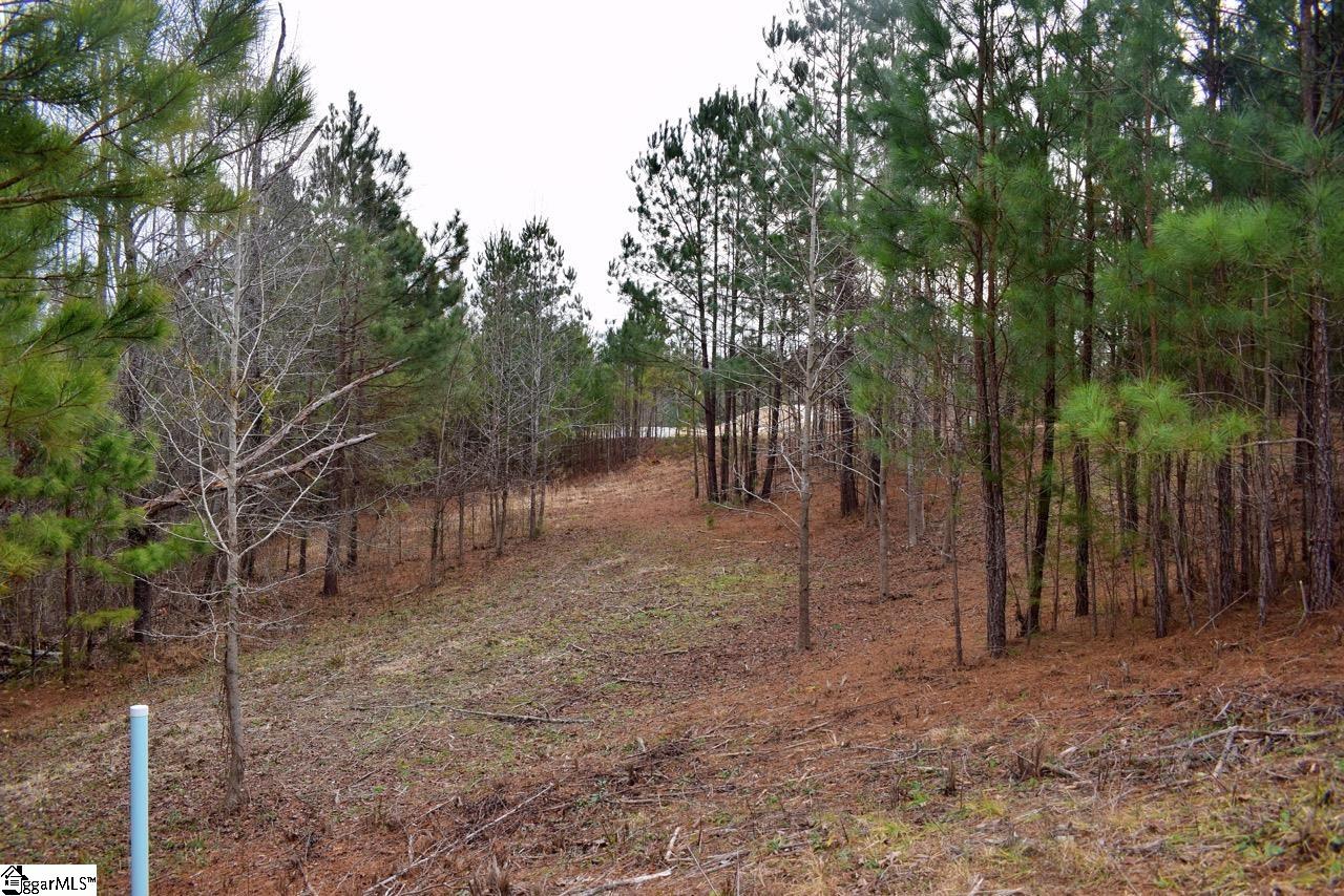 Property image 4 of 101 Lord Byron Lane in The Summit at Cherokee Valley, Travelers Rest, SC 29690