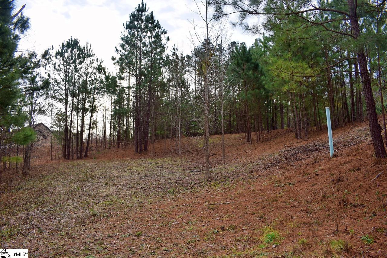 Property image 5 of 101 Lord Byron Lane in The Summit at Cherokee Valley, Travelers Rest, SC 29690