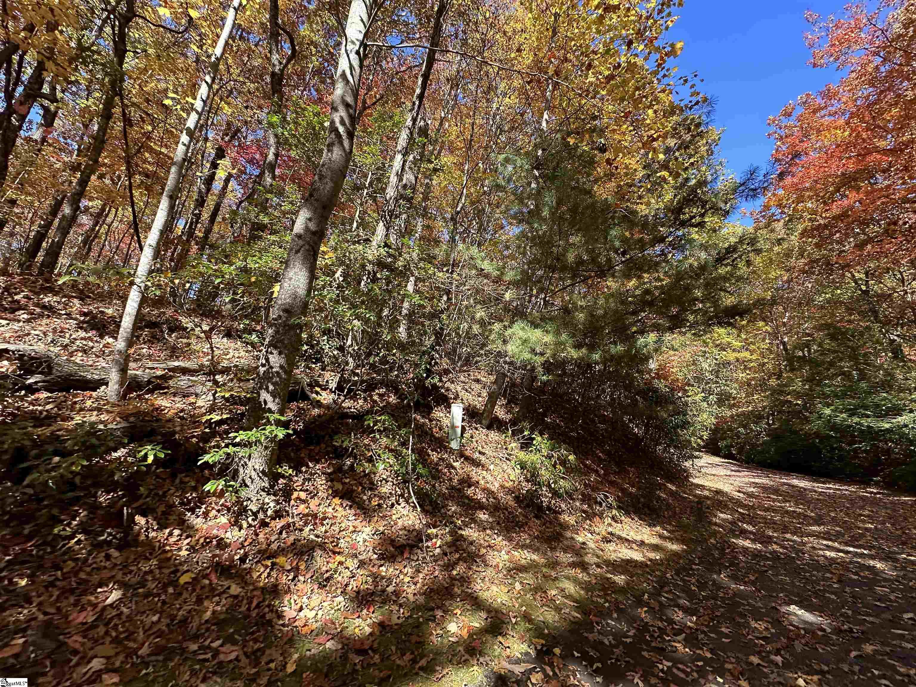 Property image 4 of 124 Birchbend Drive in Cliff Ridge at Caesars Head, Cleveland, SC 29635
