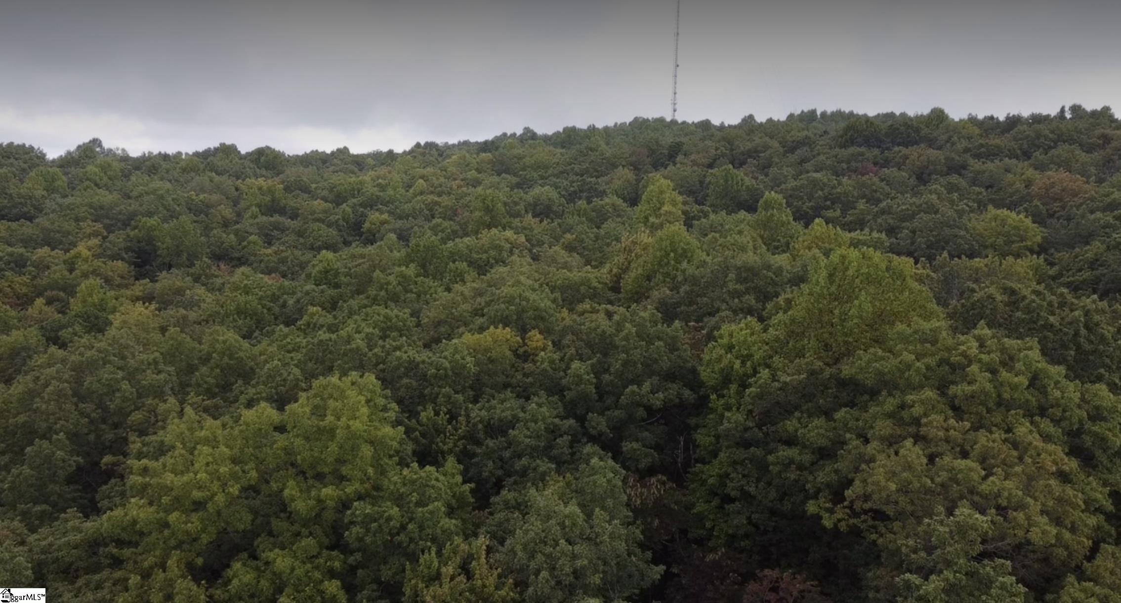 Property image 5 of 124 Birchbend Drive in Cliff Ridge at Caesars Head, Cleveland, SC 29635