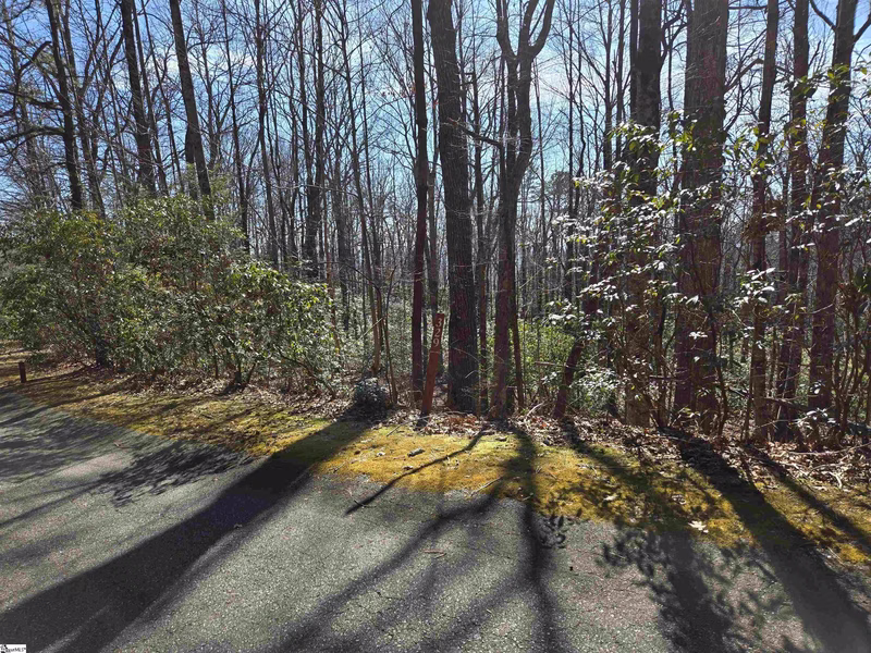 116 Birchbend
