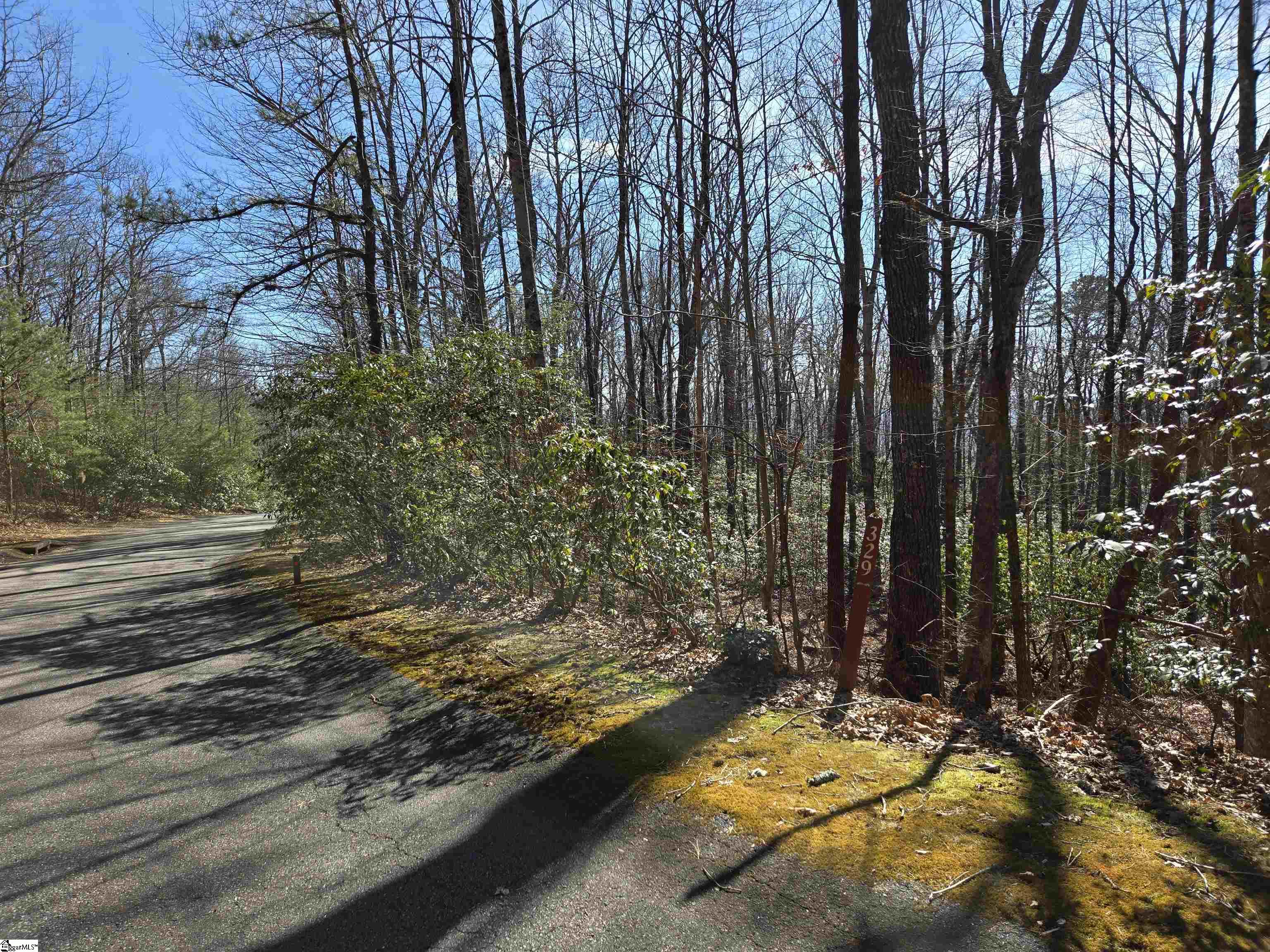 Property image 2 of 116 Birchbend in Cliff Ridge at Caesars Head, Cleveland, SC 29635