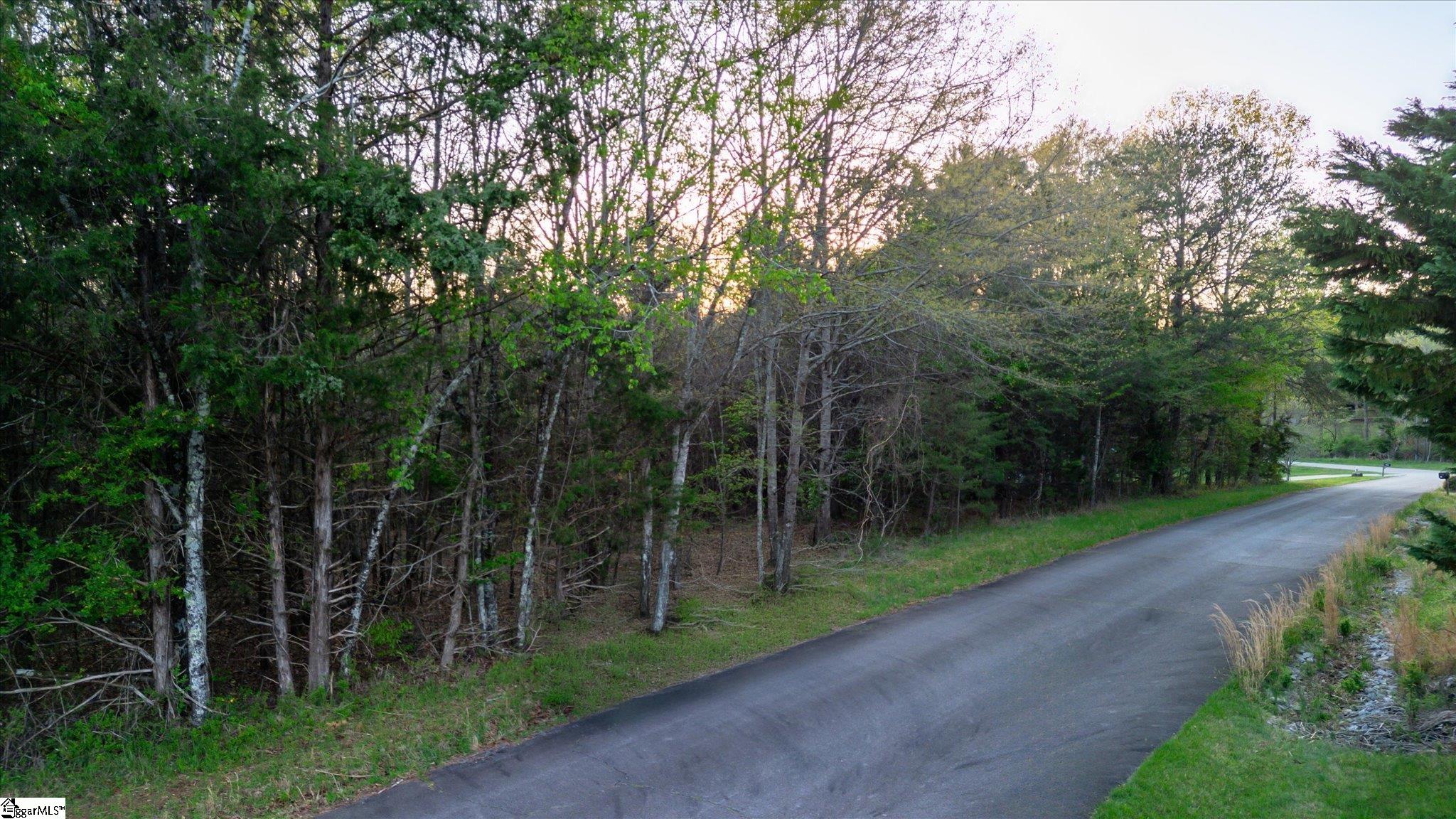 Property image 2 of 00 Nostaw Drive in Golden Creek, Liberty, SC 29657