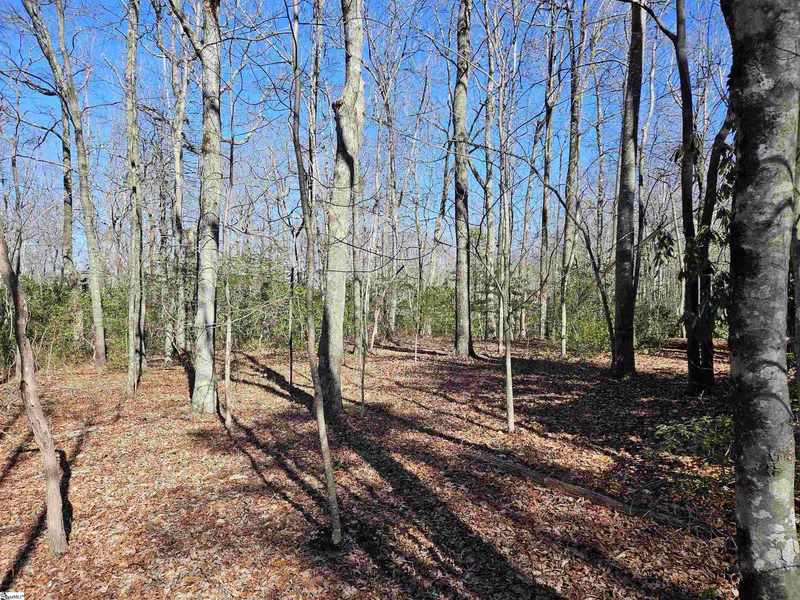 Property image 2 at 6 10 Larkspur Lane, Cleveland, SC 29635