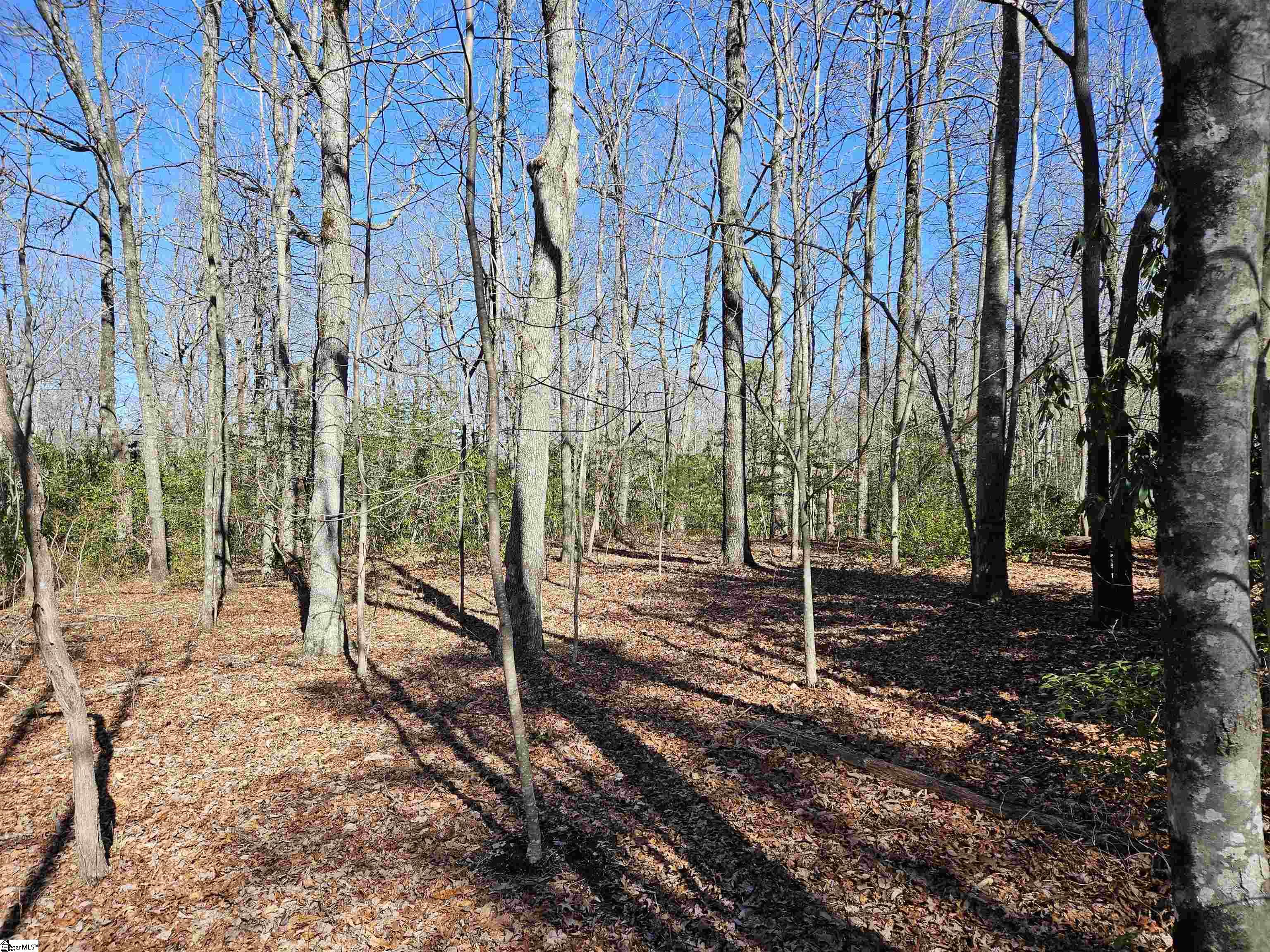 Property image 2 of 6 10 Larkspur Lane in Cliff Ridge at Caesars Head, Cleveland, SC 29635