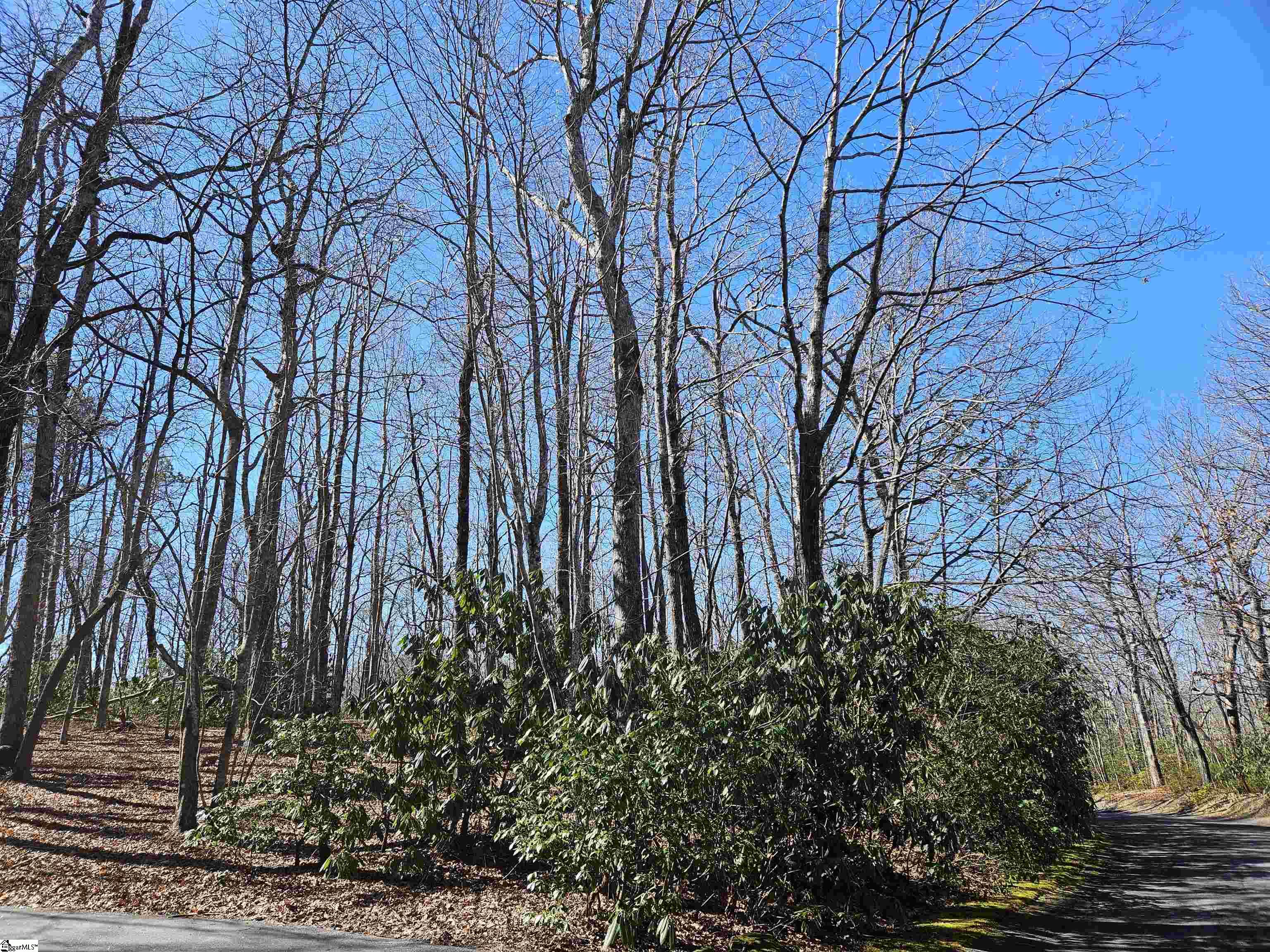 Property image 3 of 6 10 Larkspur Lane in Cliff Ridge at Caesars Head, Cleveland, SC 29635