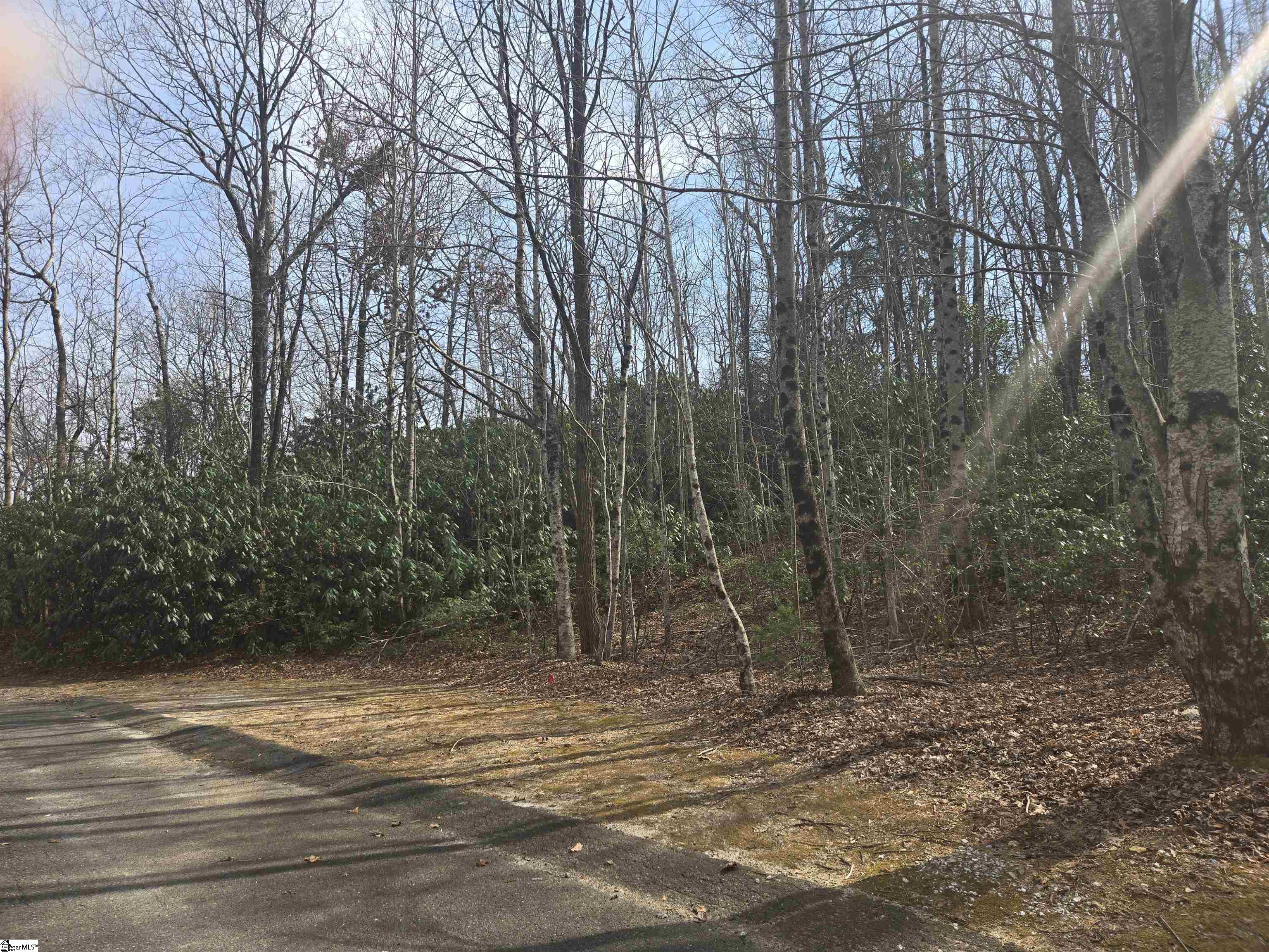 Property image 2 of 68 Conifer Falls Road in Cliff Ridge at Caesars Head, Cleveland, SC 29635