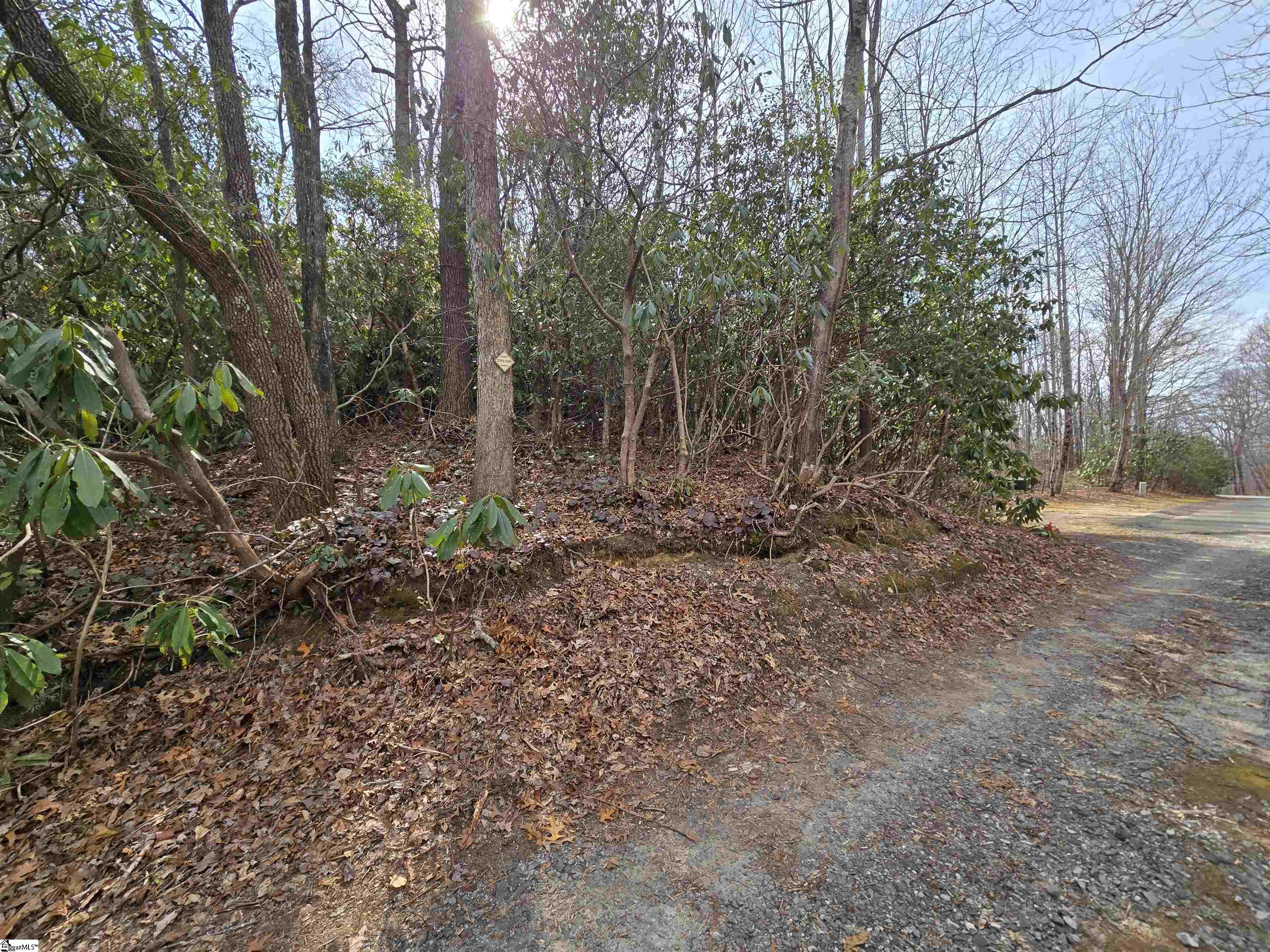 Property image 4 of 68 Conifer Falls Road in Cliff Ridge at Caesars Head, Cleveland, SC 29635