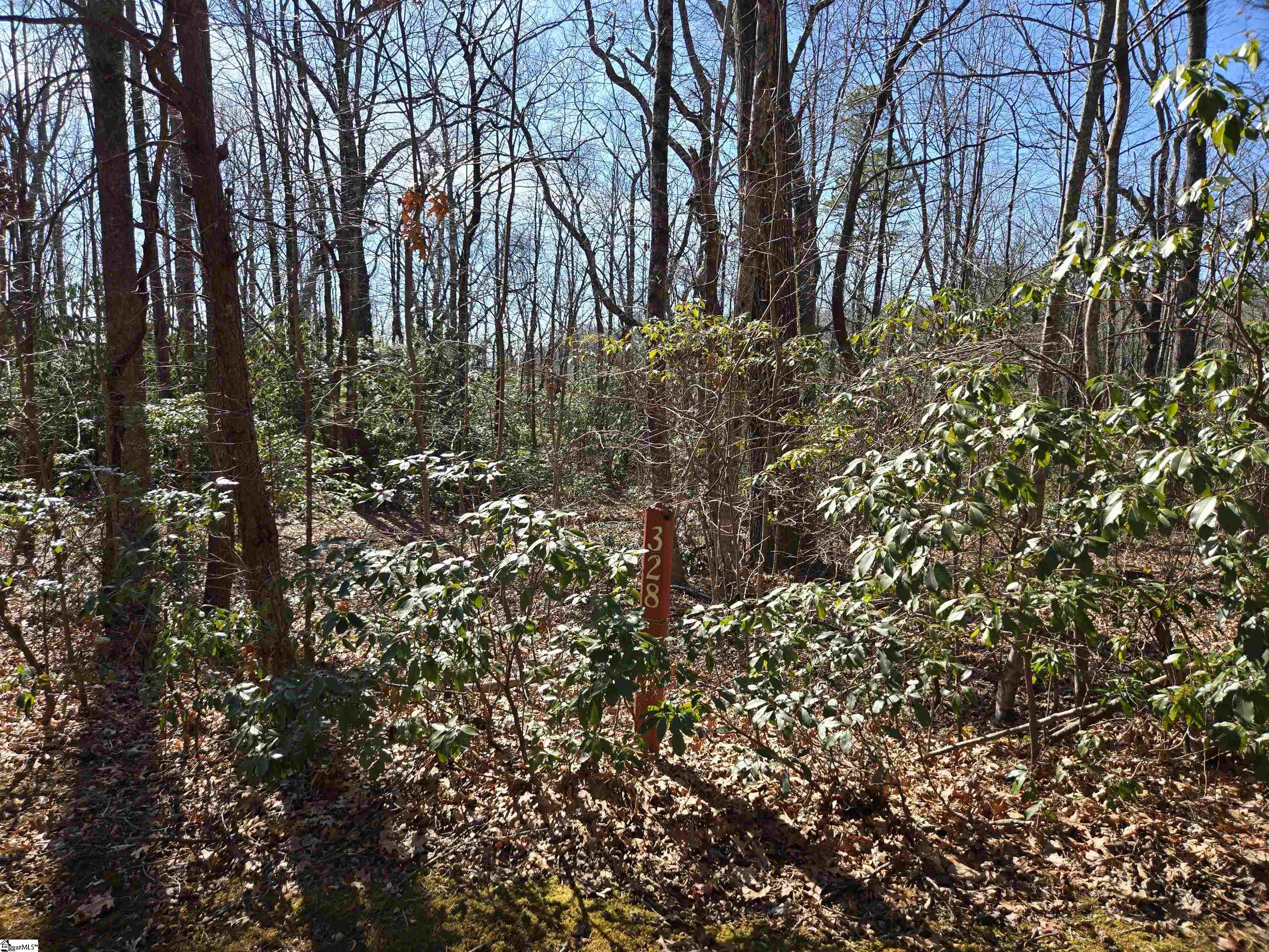 Property image 3 of 120 Birchbend in Cliff Ridge at Caesars Head, Cleveland, SC 29635