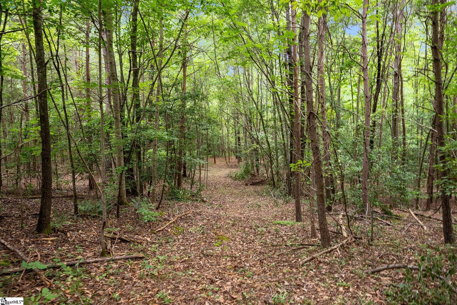 Property image 1 at 153 Silvery Lane, Liberty, SC 29657