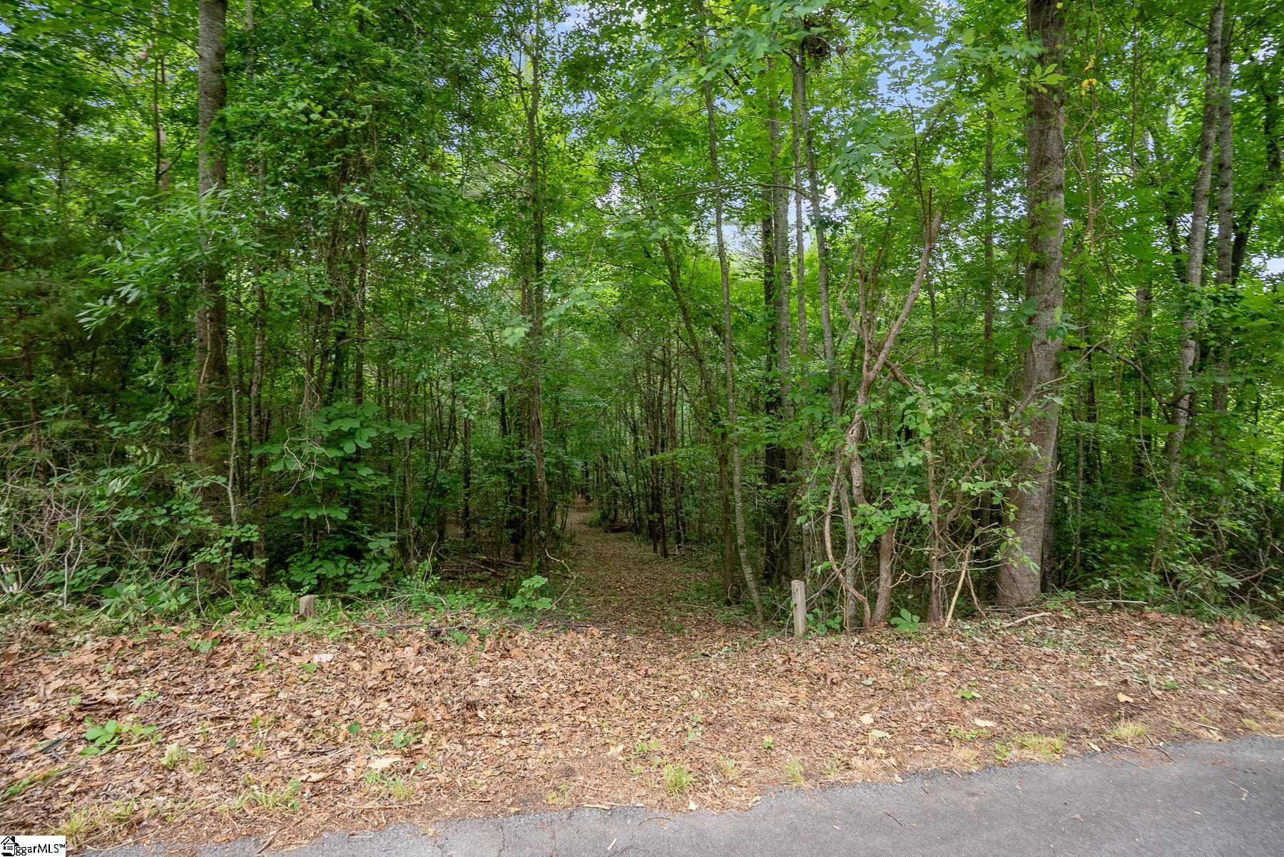 Property image 2 of 153 Silvery Lane in Golden Creek, Liberty, SC 29657