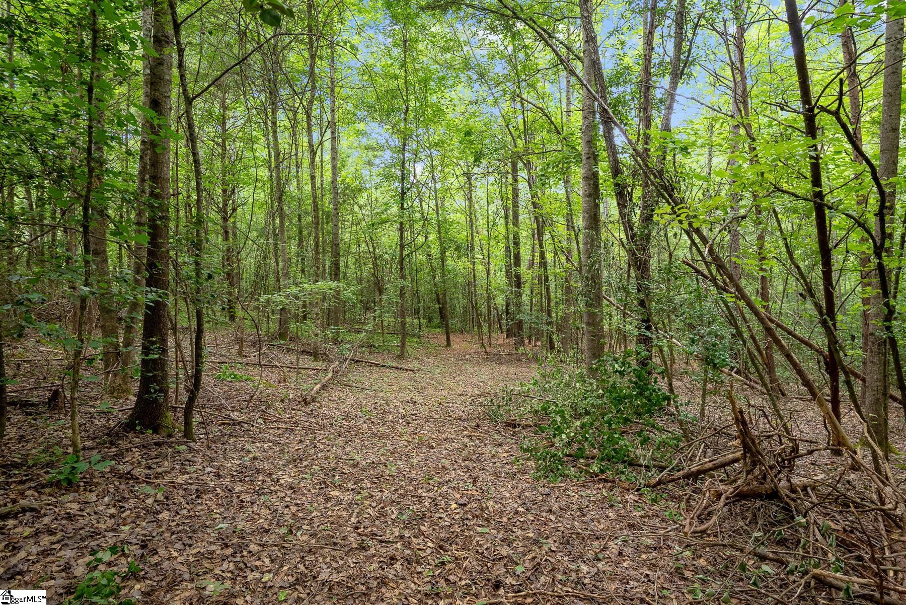 Property image 5 of 153 Silvery Lane in Golden Creek, Liberty, SC 29657
