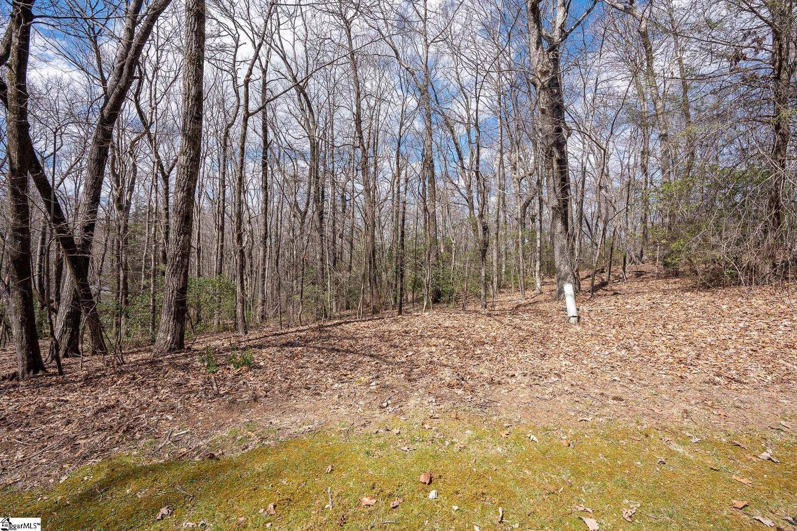 Property image 1 at 272 Delphinium Court, Cleveland, SC 29635