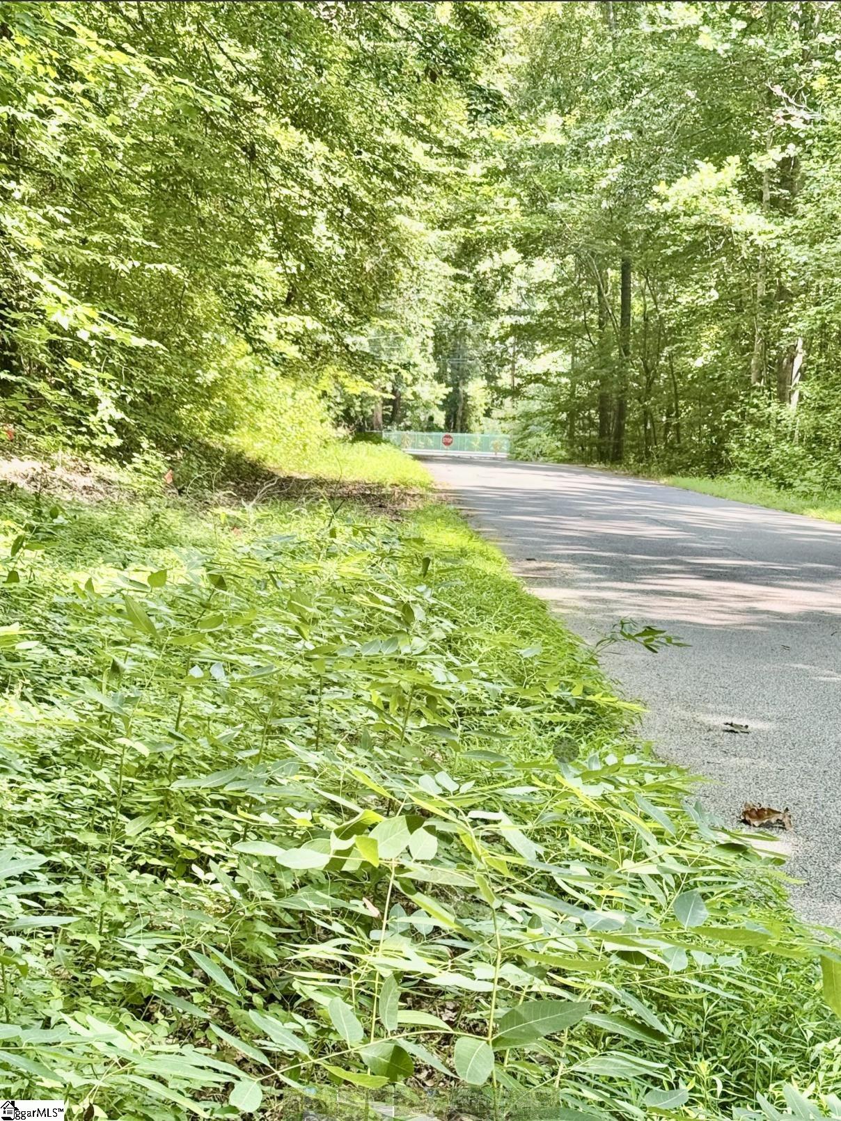 Property image 3 of Lot B Adair Place in Parkview, Laurens, SC 29360
