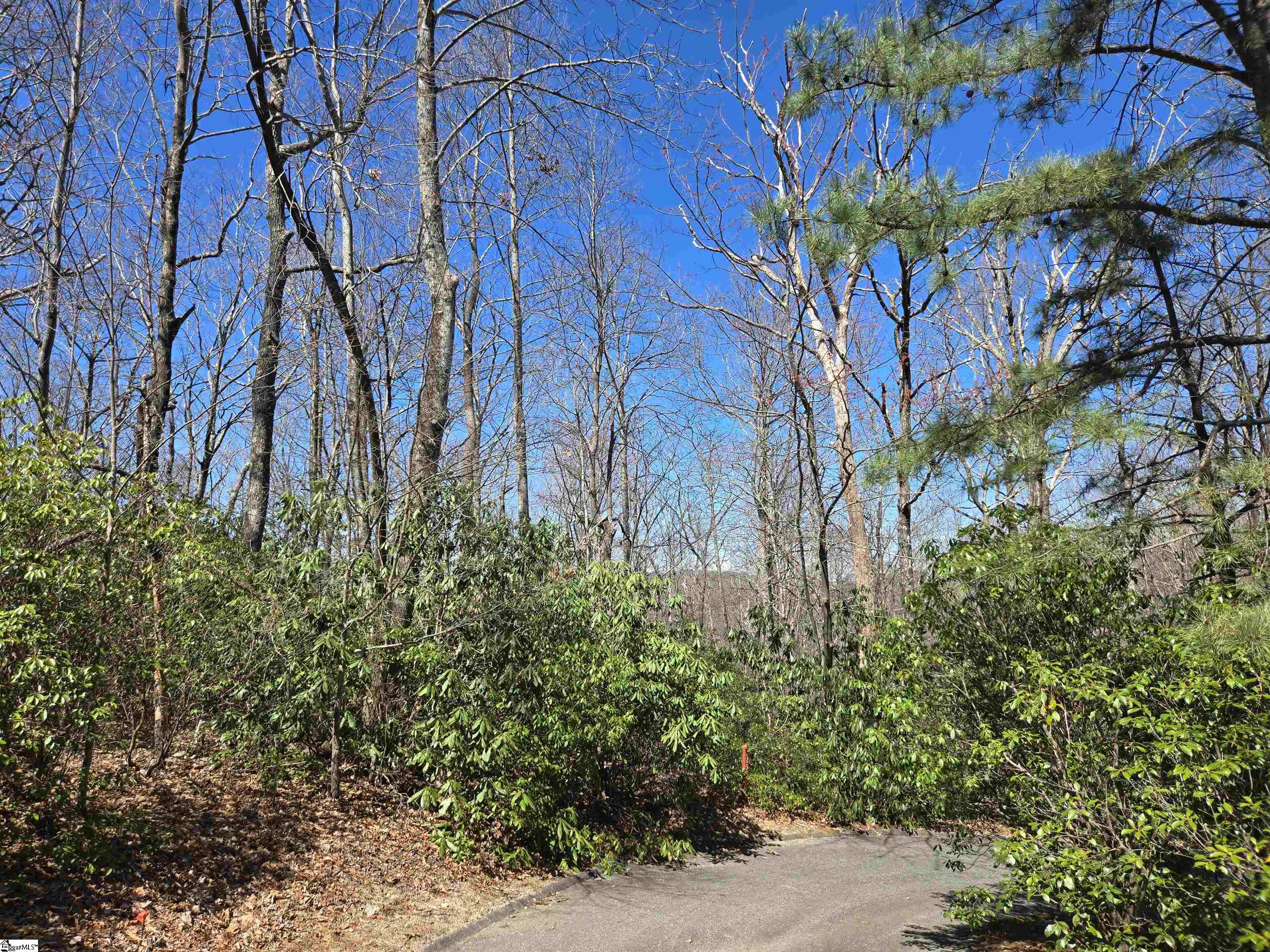 Property image 2 of 11 Larkspur Lane in Cliff Ridge at Caesars Head, Cleveland, SC 29635