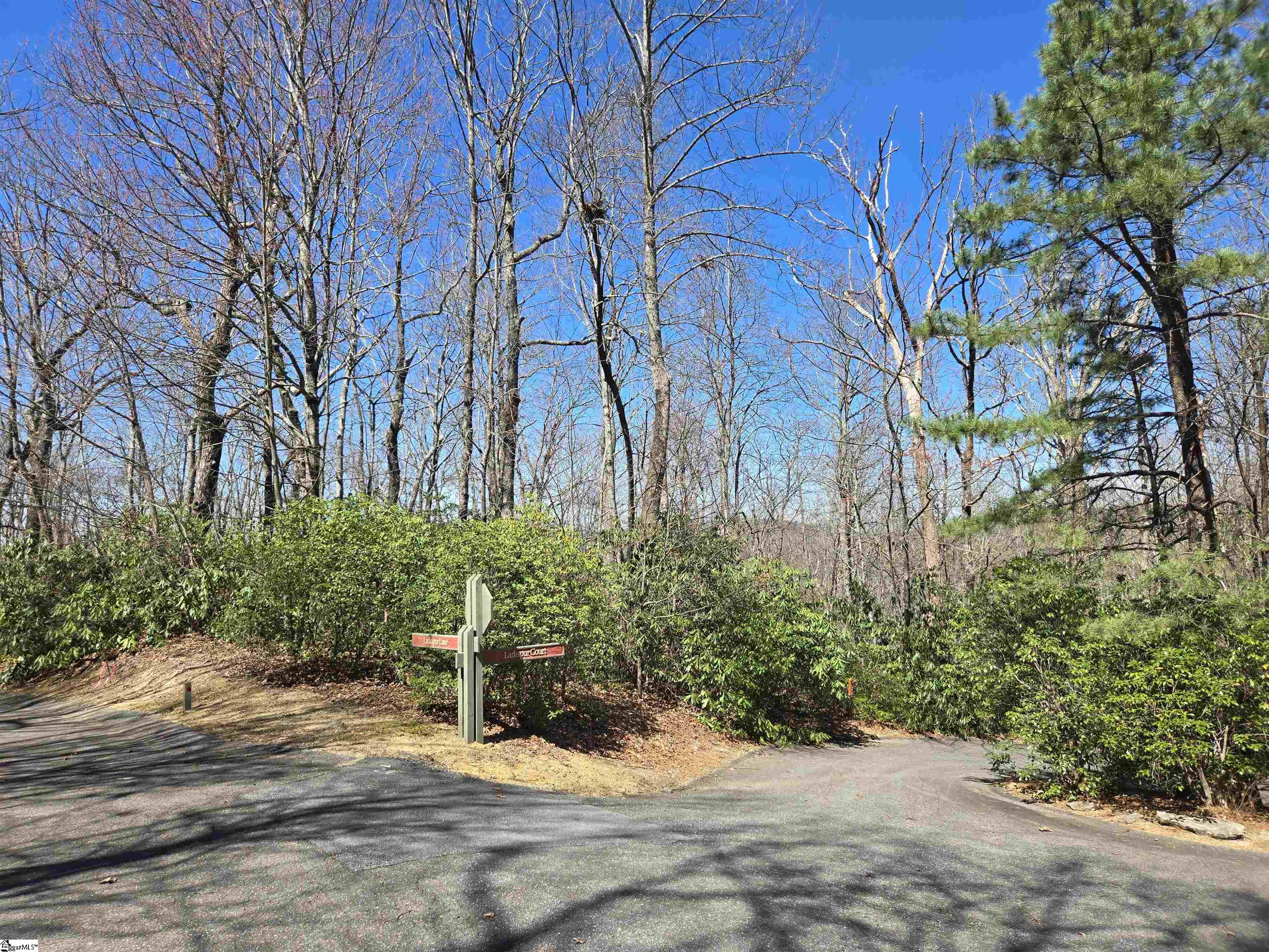 Property image 4 of 11 Larkspur Lane in Cliff Ridge at Caesars Head, Cleveland, SC 29635