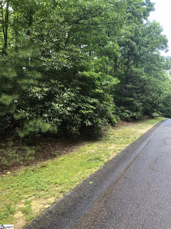 Property image 3 at 216 Conifer Falls Road, Cleveland, SC 29635