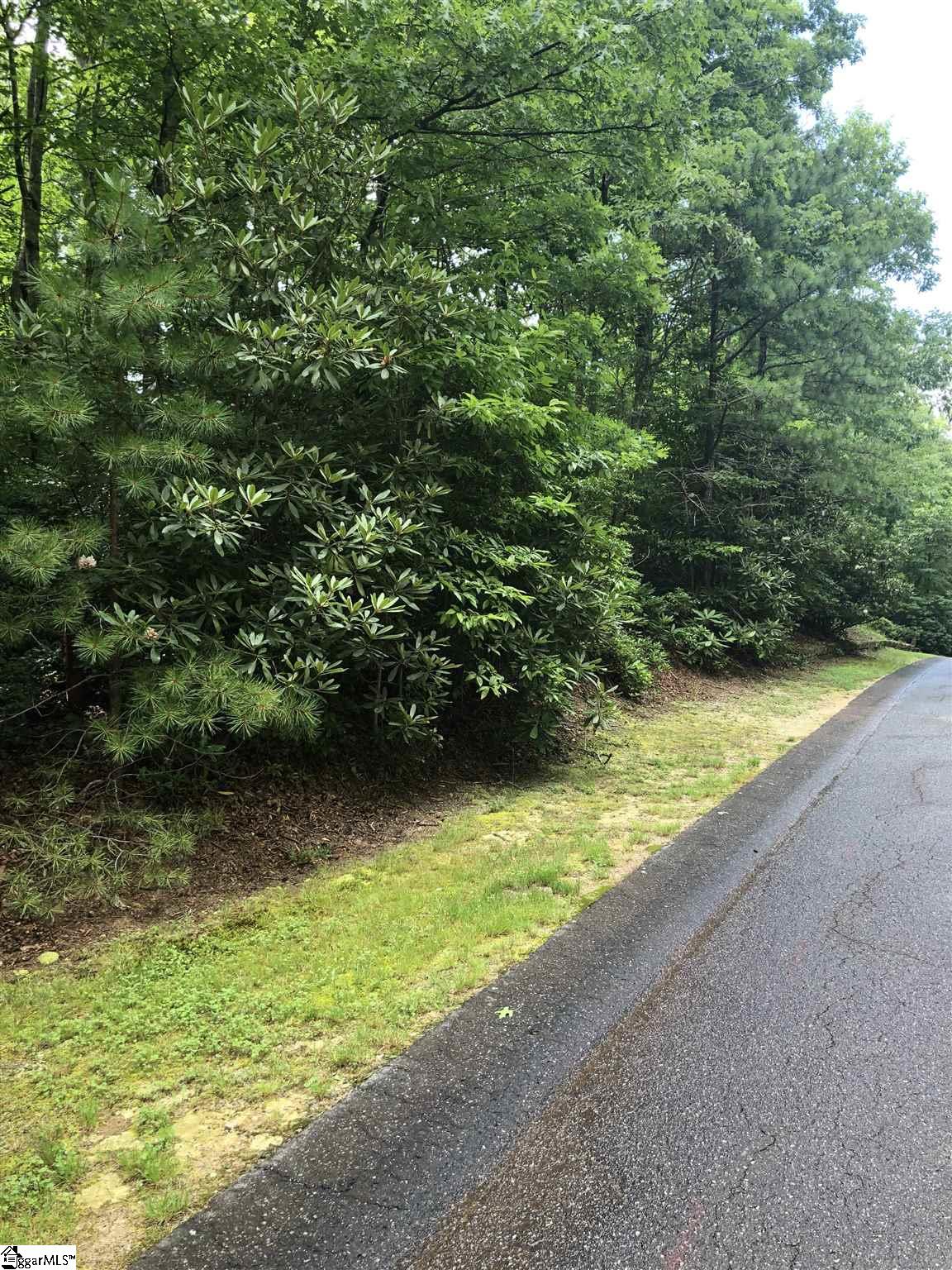 Property image 3 of 216 Conifer Falls Road in Cliff Ridge at Caesars Head, Cleveland, SC 29635