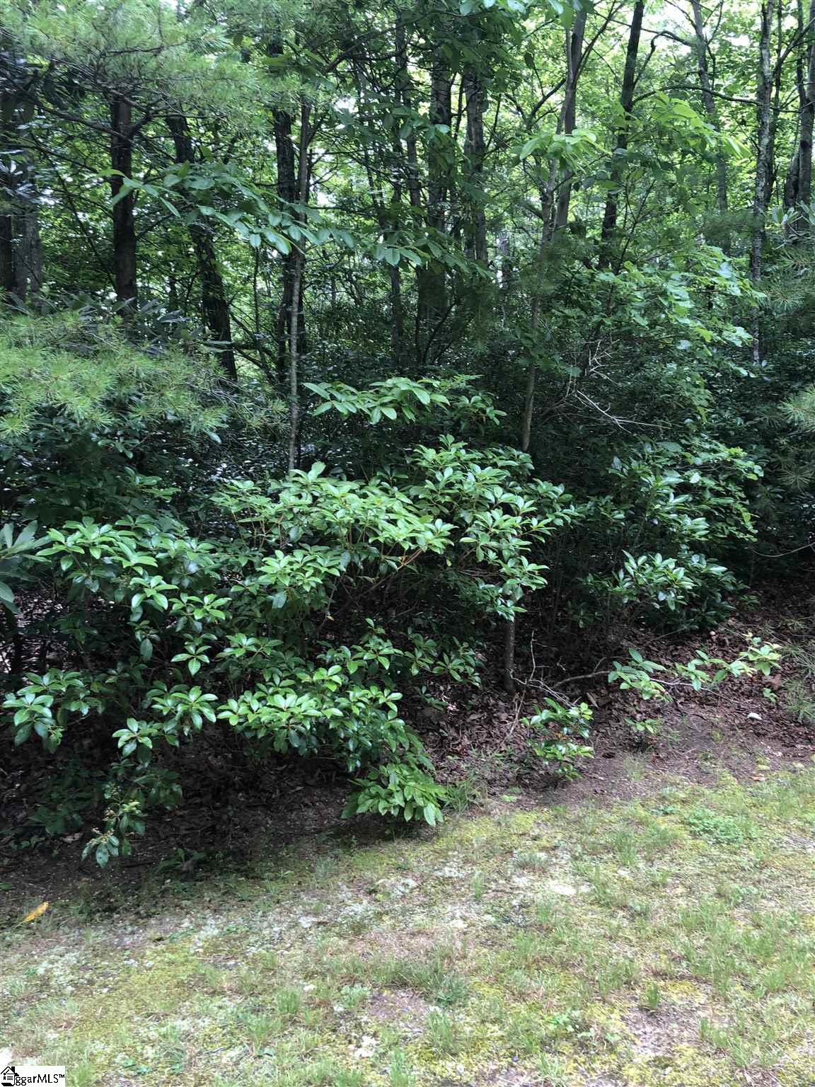 Property image 4 of 216 Conifer Falls Road in Cliff Ridge at Caesars Head, Cleveland, SC 29635