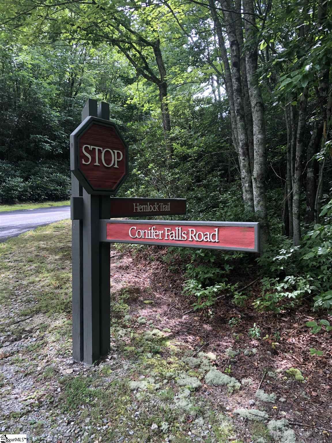 Property image 5 of 216 Conifer Falls Road in Cliff Ridge at Caesars Head, Cleveland, SC 29635