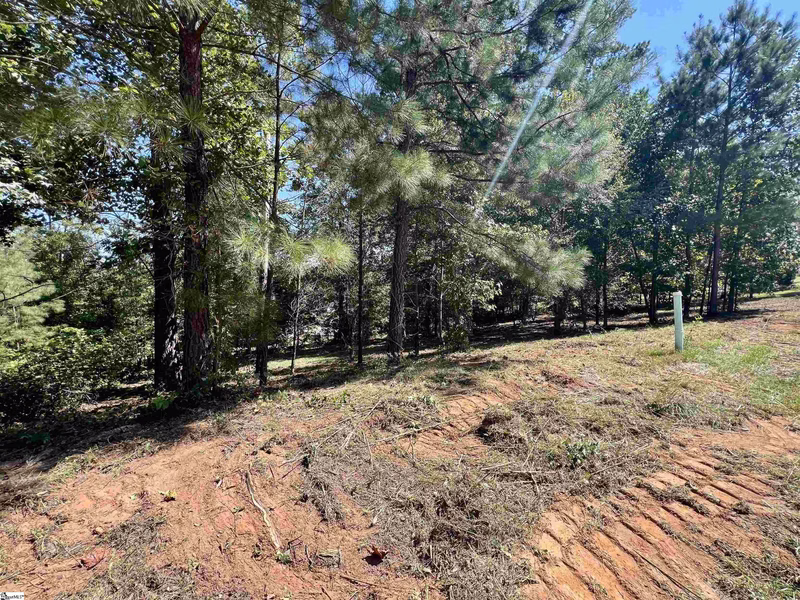 18 Tee Box Lane