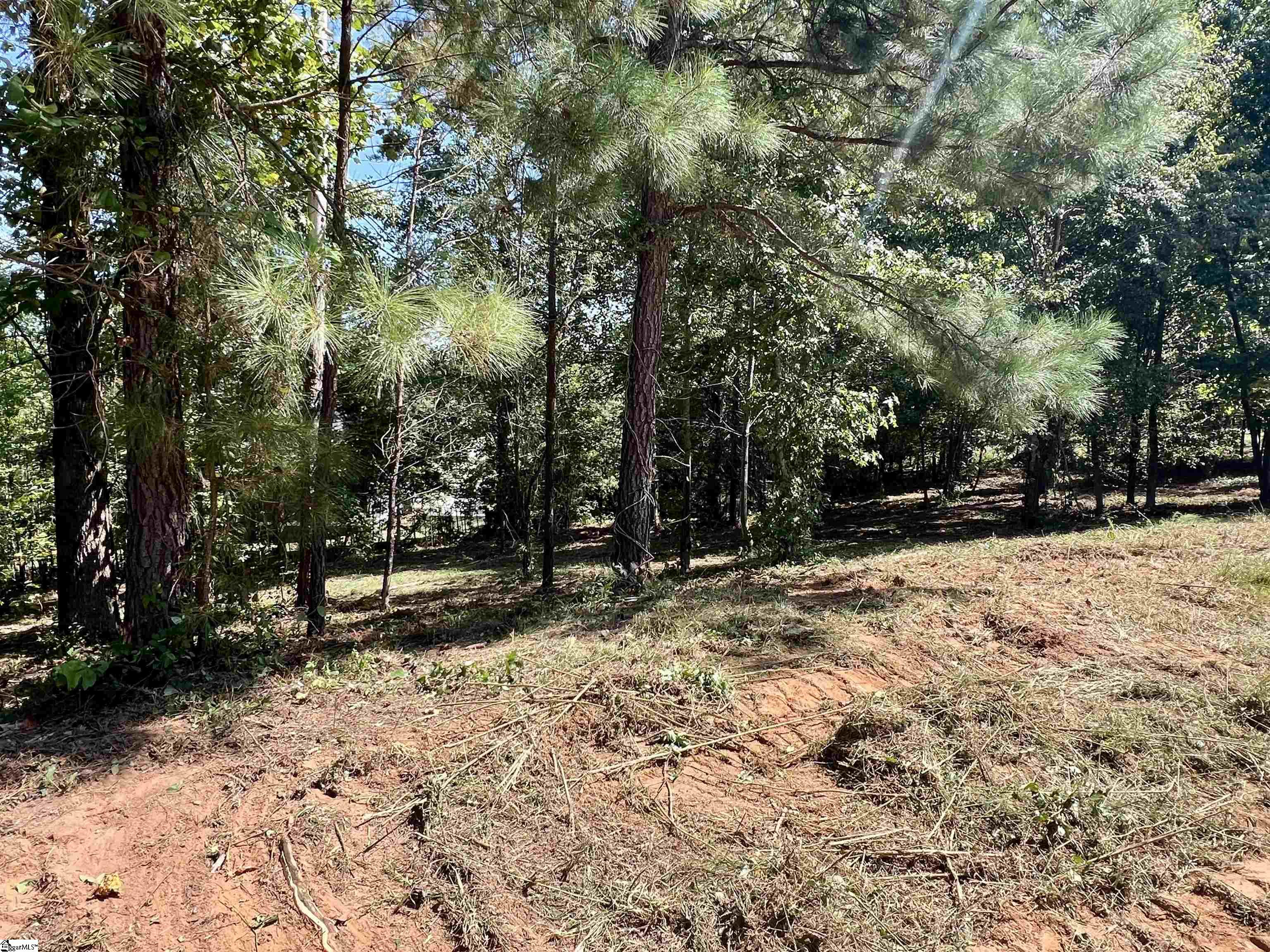 Property image 2 of 18 Tee Box Lane in The Summit at Cherokee Valley, Travelers Rest, SC 29690