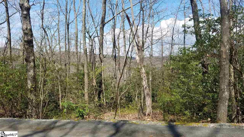 8 Chestnut Bluff