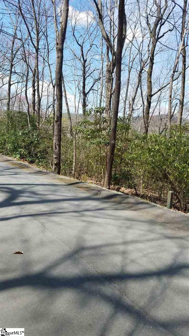 Property image 2 of 8 Chestnut Bluff in Cliff Ridge at Caesars Head, Cleveland, SC 29635