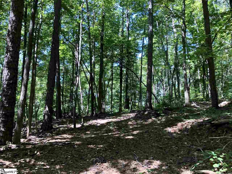 Property image 5 at 0 Trail Tree Drive, West Union, SC 29696-3616
