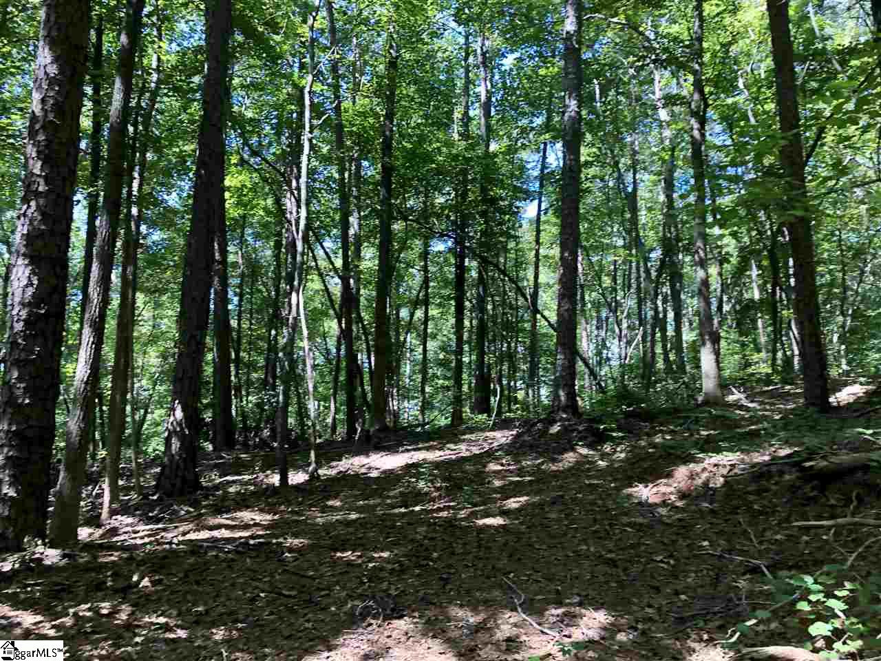 Property image 5 of 0 Trail Tree Drive in Peninsula Pointe South, West Union, SC 29696-3616
