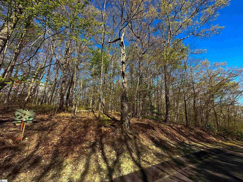 376 Sourwood Lane