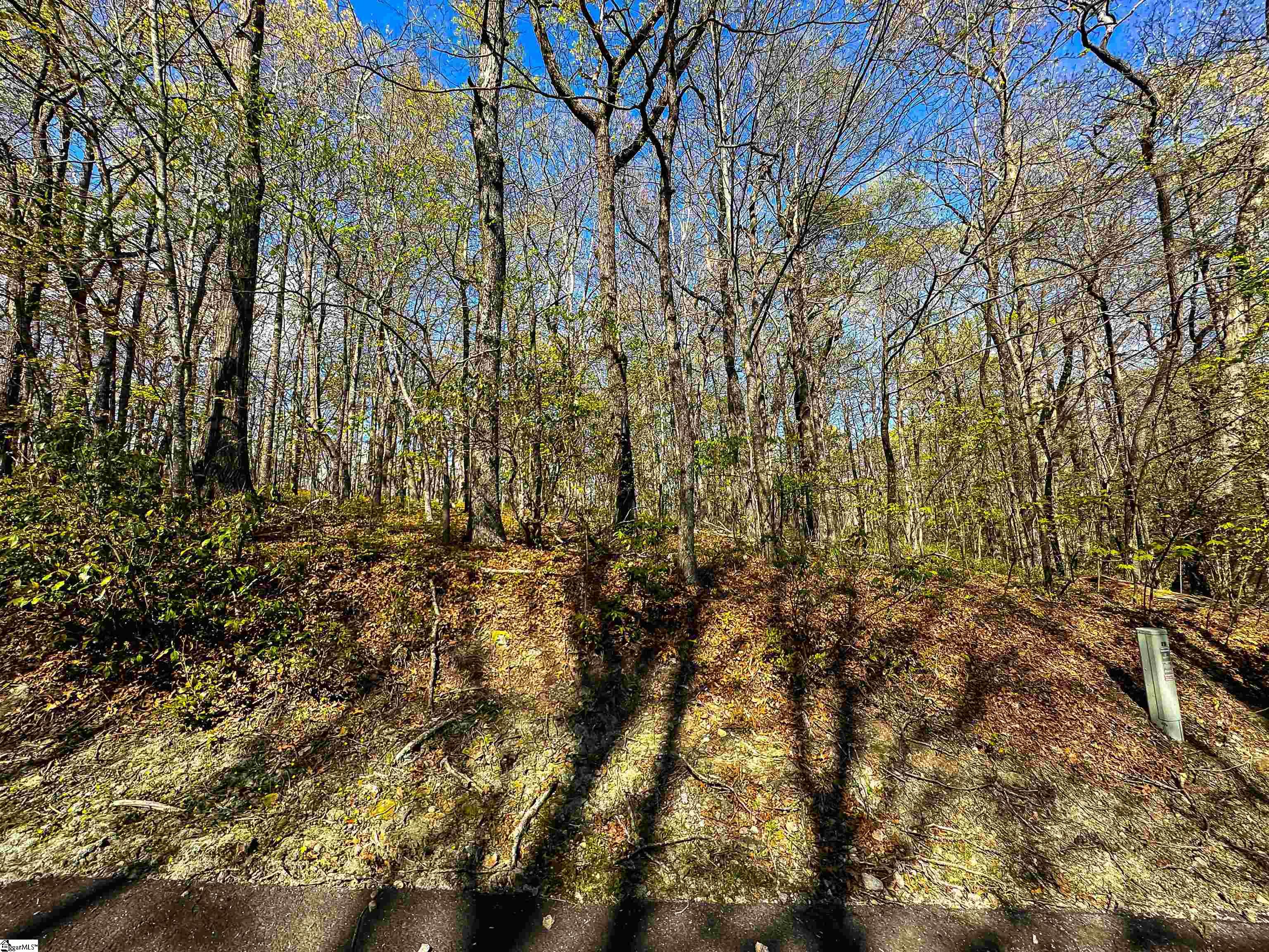 Property image 2 of 376 Sourwood Lane in Cliff Ridge at Caesars Head, Cleveland, SC 29635