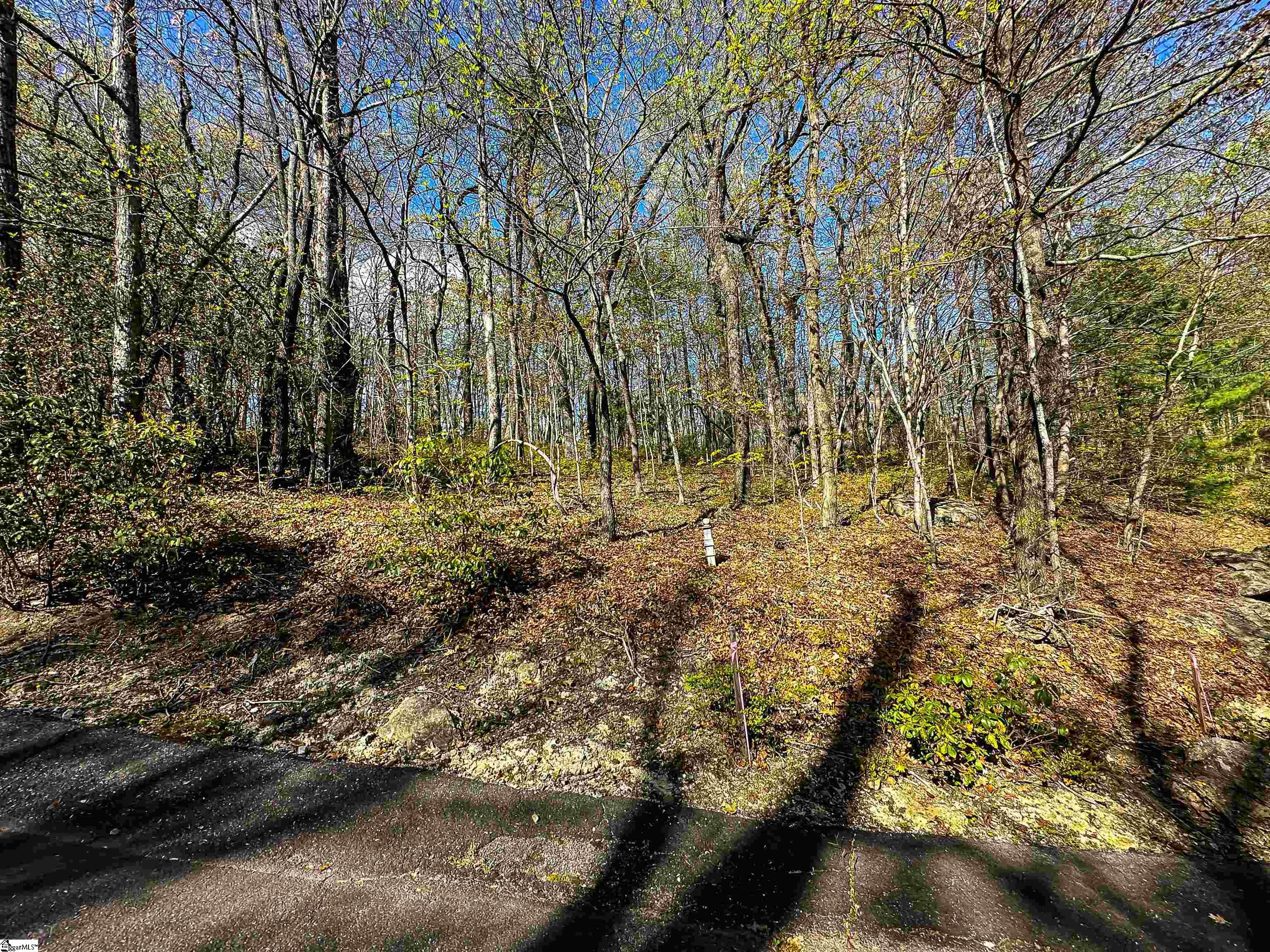 Property image 3 of 376 Sourwood Lane in Cliff Ridge at Caesars Head, Cleveland, SC 29635