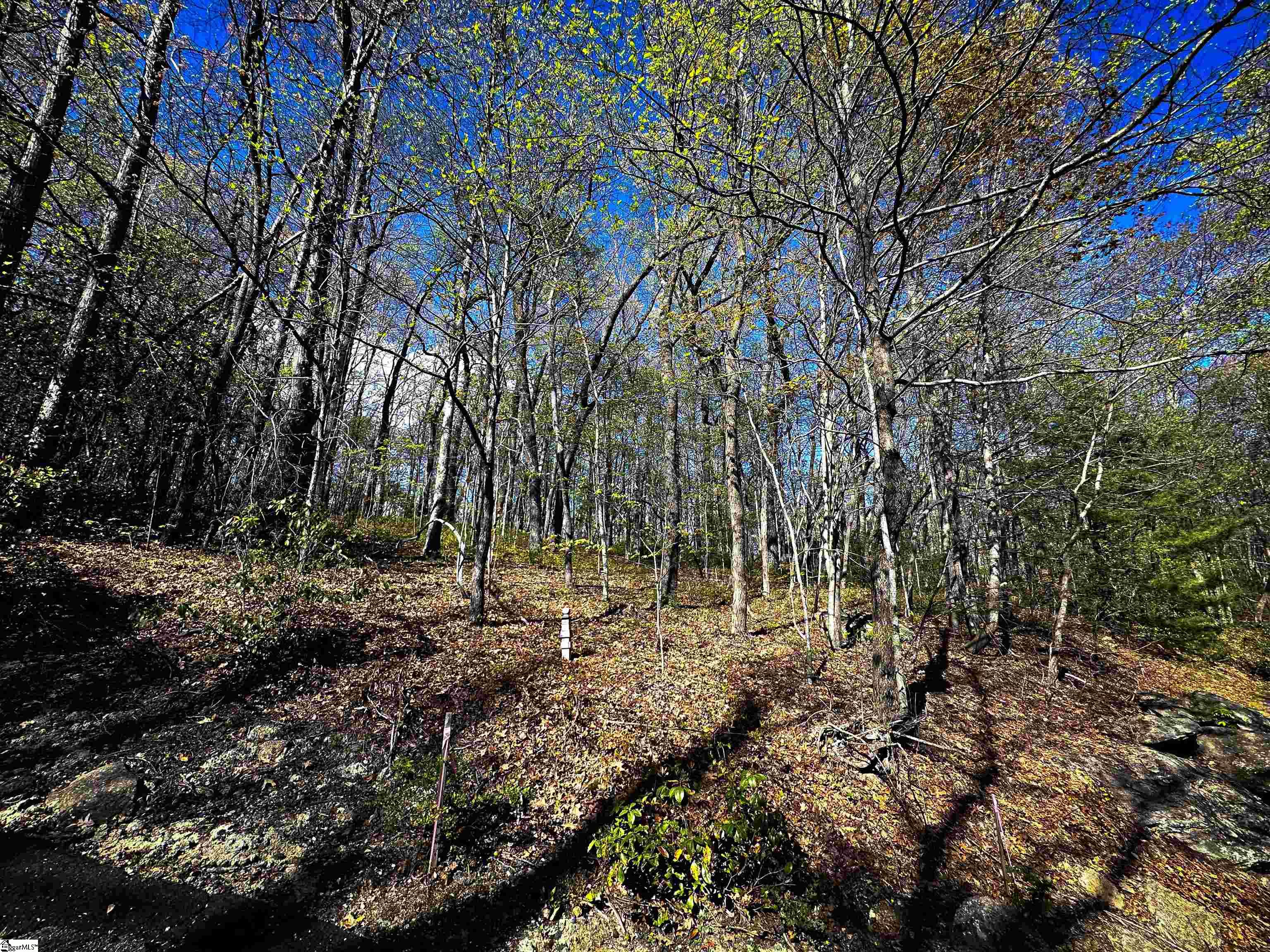 Property image 4 of 376 Sourwood Lane in Cliff Ridge at Caesars Head, Cleveland, SC 29635