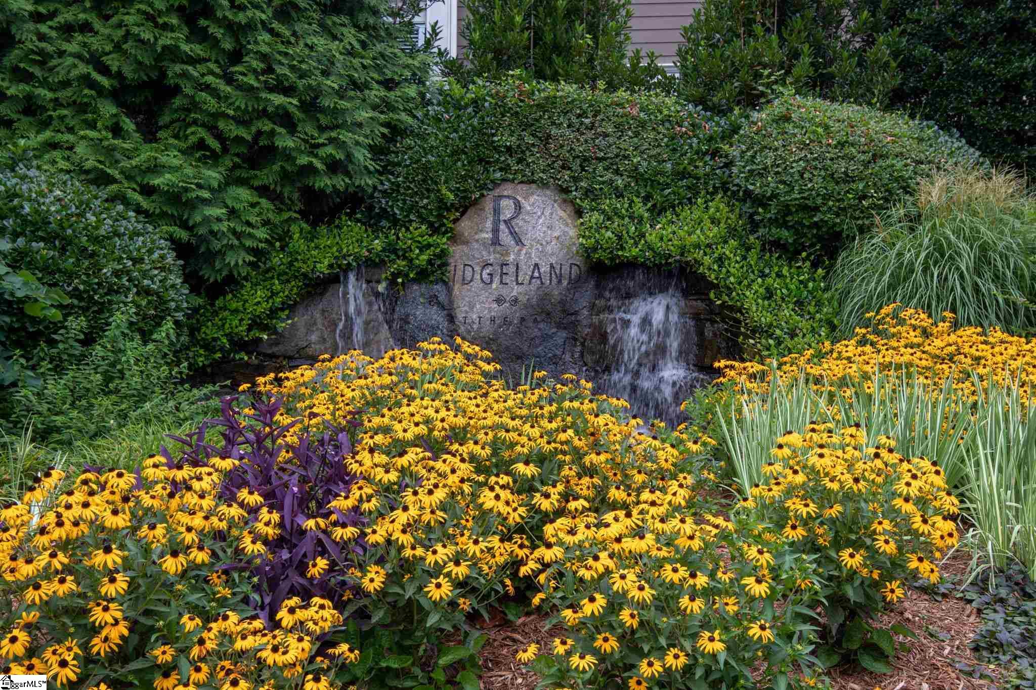 Property image 2 of 119 Sherwood Street in Ridgeland at the Park, Greenville, SC 29601