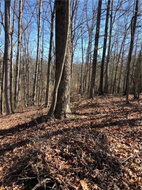 Property image 4 of 00 lot 35& 36 Long Bay Drive in The Woods At Keowee, West Union, SC 29696
