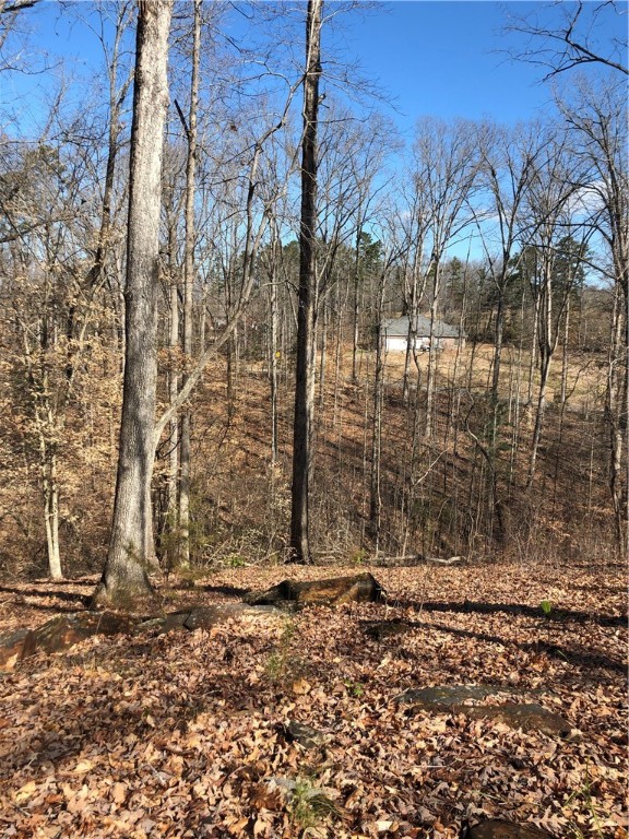Property image 5 of 00 lot 35& 36 Long Bay Drive in The Woods At Keowee, West Union, SC 29696