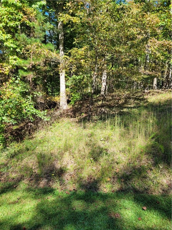 Property image 2 of 00 Cedar Creek Road in Cedar Creek, Sunset, SC 29685