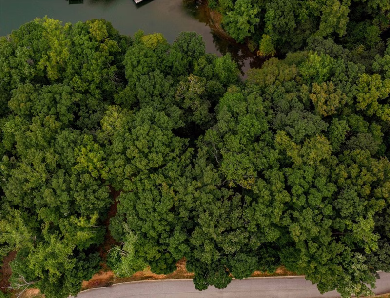 Property image 3 at 230 Long Bay Drive, West Union, SC 29696